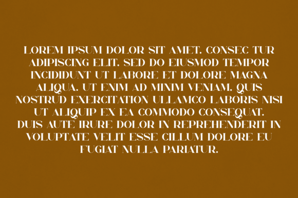 Chaya Font - Preview 2