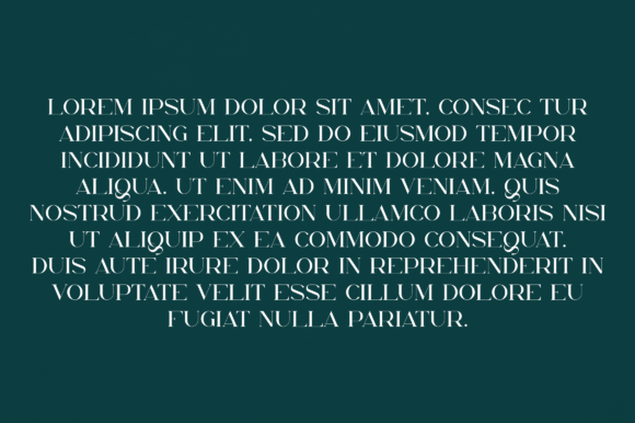 Delanie Font - Preview 2