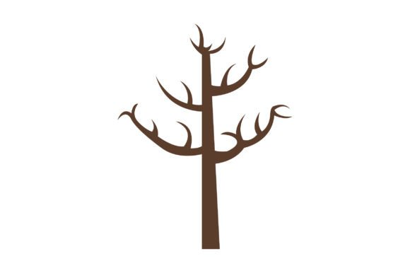 Bare Tree
