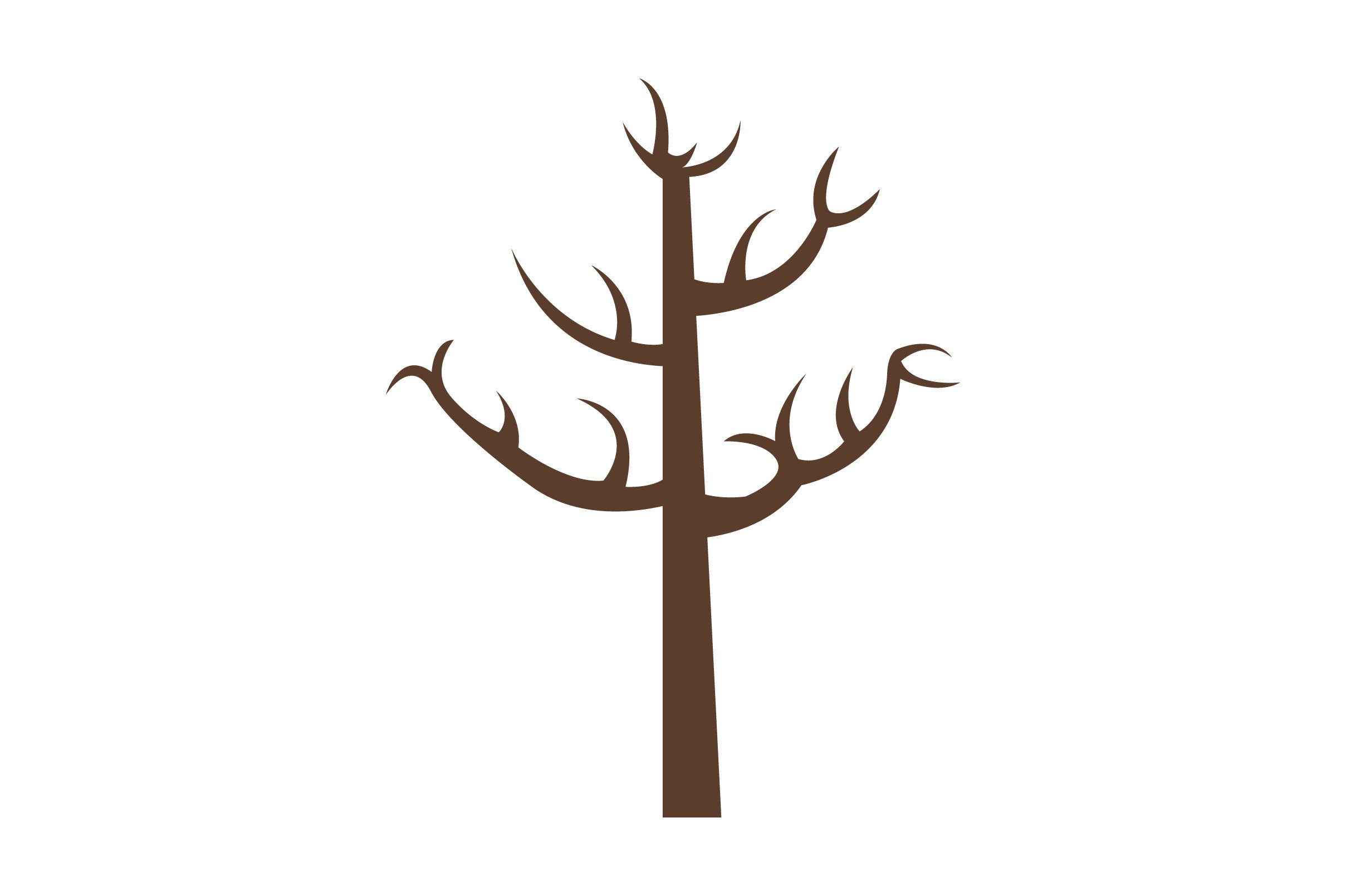 Bare Tree