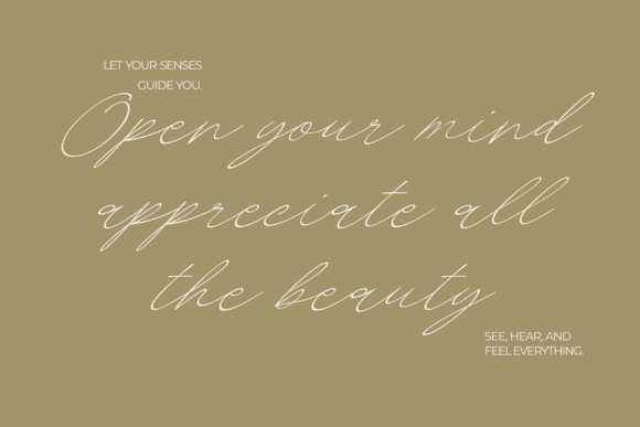 Bigotedly Font - Preview 3