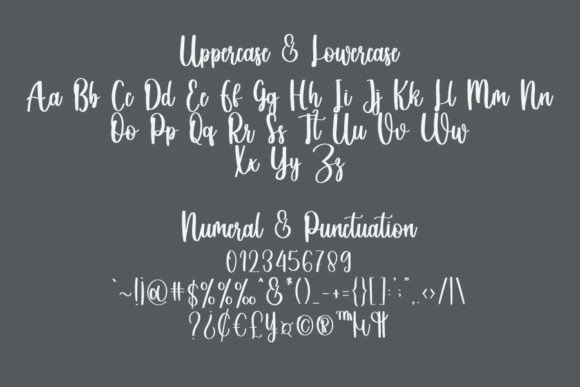 Bundels Font - Preview 4
