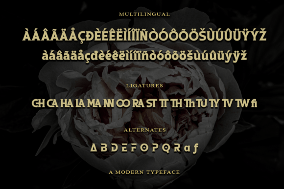 Chrafest Font - Preview 2