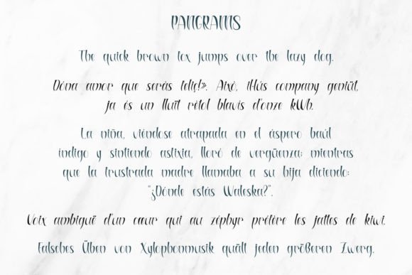 Canidé Font - Preview 6
