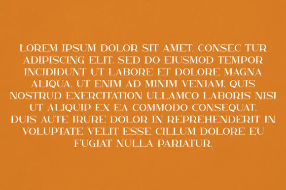 Elliana Font - Preview 2