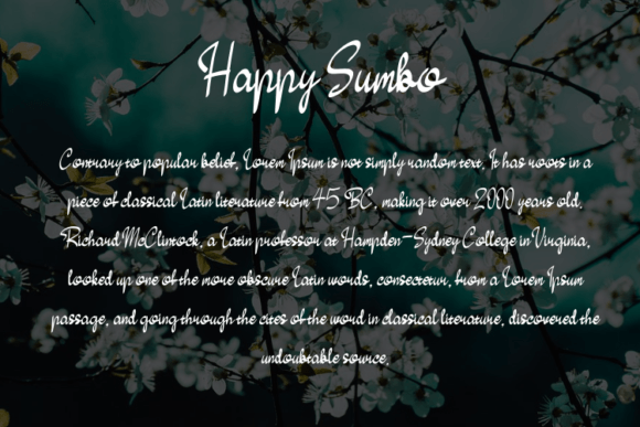 Happy Sumbo Font - Preview 4