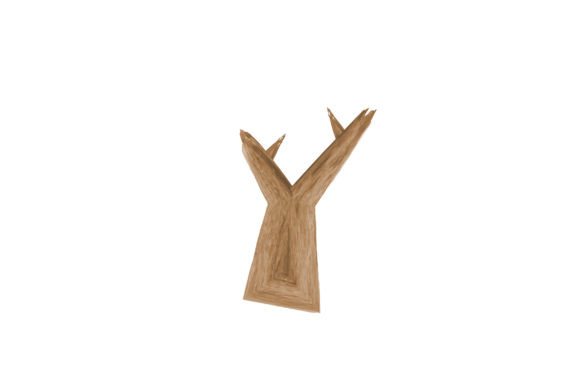 Bare Tree