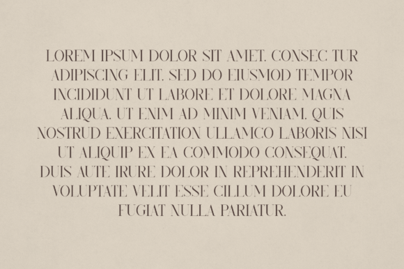 Annalise Font - Preview 2