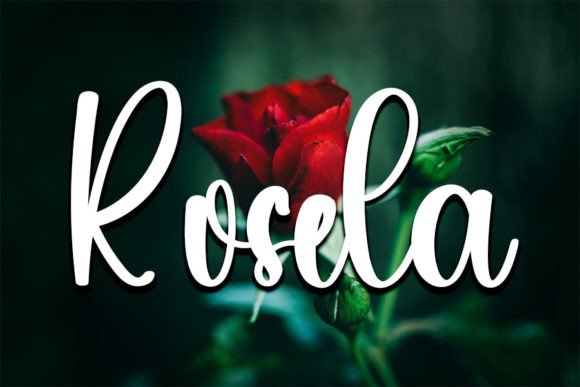 Colla Font - Preview 3