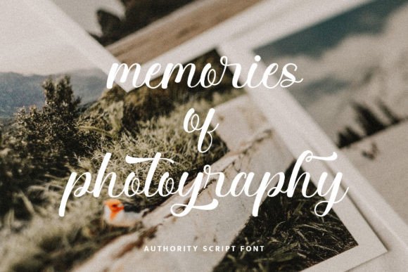 Authority Font - Preview 5