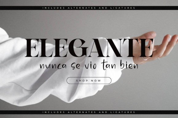 Bagife Font PNG with transparent background - Preview 2