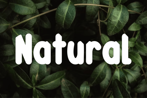 Ceddill Font - Preview 1