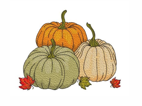 Fall Pumpkins
