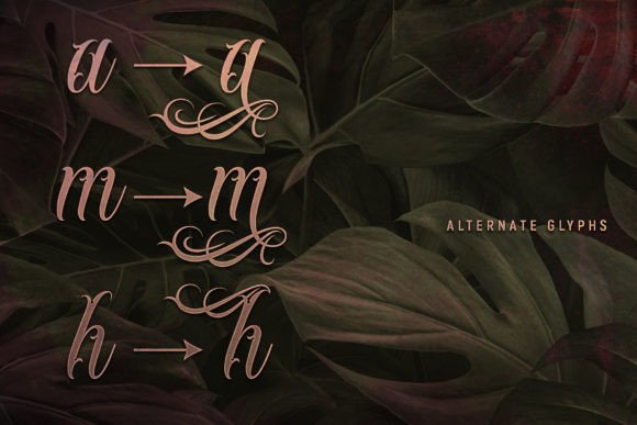 Karmaloy Font PNG with transparent background - Preview 3
