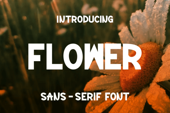 Raflash Font font preview - 1