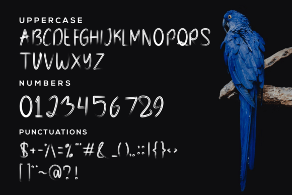 Rubinner Font PNG with transparent background - Preview 2