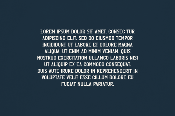 Alden Font - Preview 2