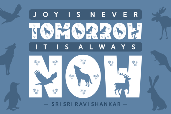 Amiko Winter Font - Preview 1