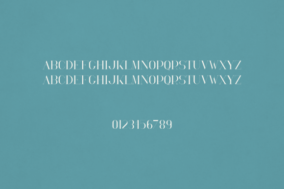 Denali Font - Preview 1