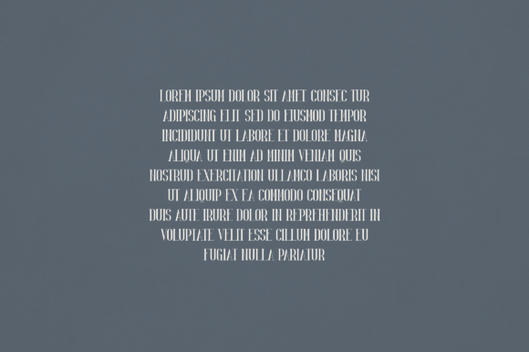 Enid Font - Preview 2