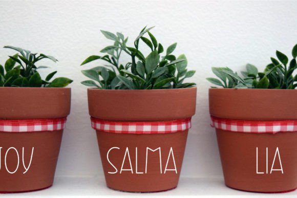Farmstand Market Font PNG with transparent background - Preview 5