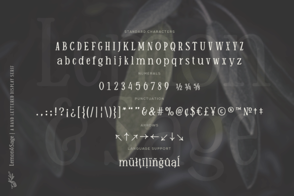 Lemon and Sage Font PNG with transparent background - Preview 5