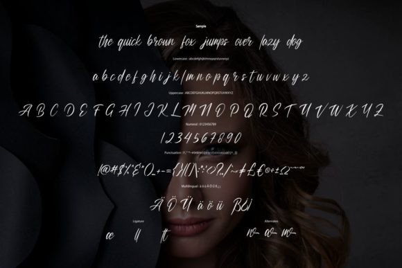 Dellion Font - Preview 5
