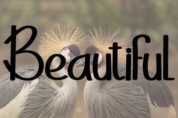 Elegant Font - Preview 2