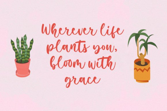 Natasha Abigail Font PNG with transparent background - Preview 2