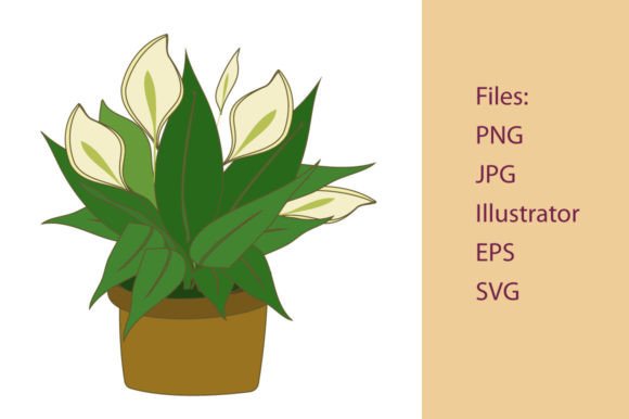 philodendron potting soil Philodendron Friday Potting Mix  PlantyTown