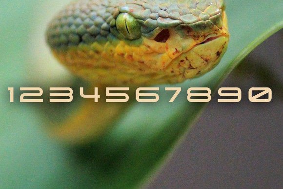 Pitviper Font font preview - 1