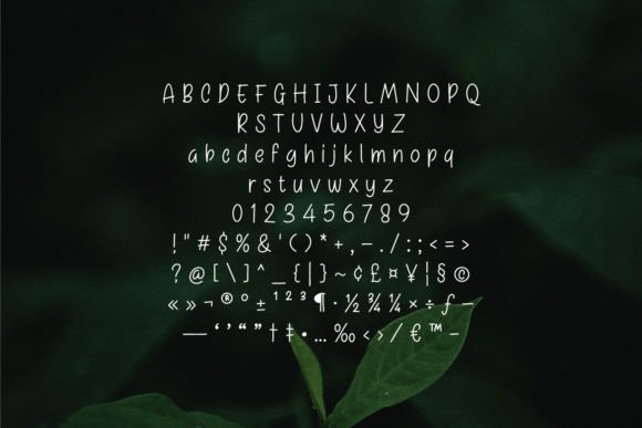 Binahong Font - Preview 3