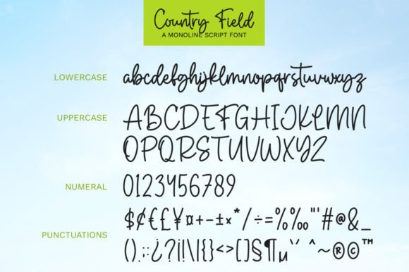 Country Field Font - Preview 6