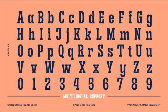 Sanford Region Font PNG with transparent background - Preview 6