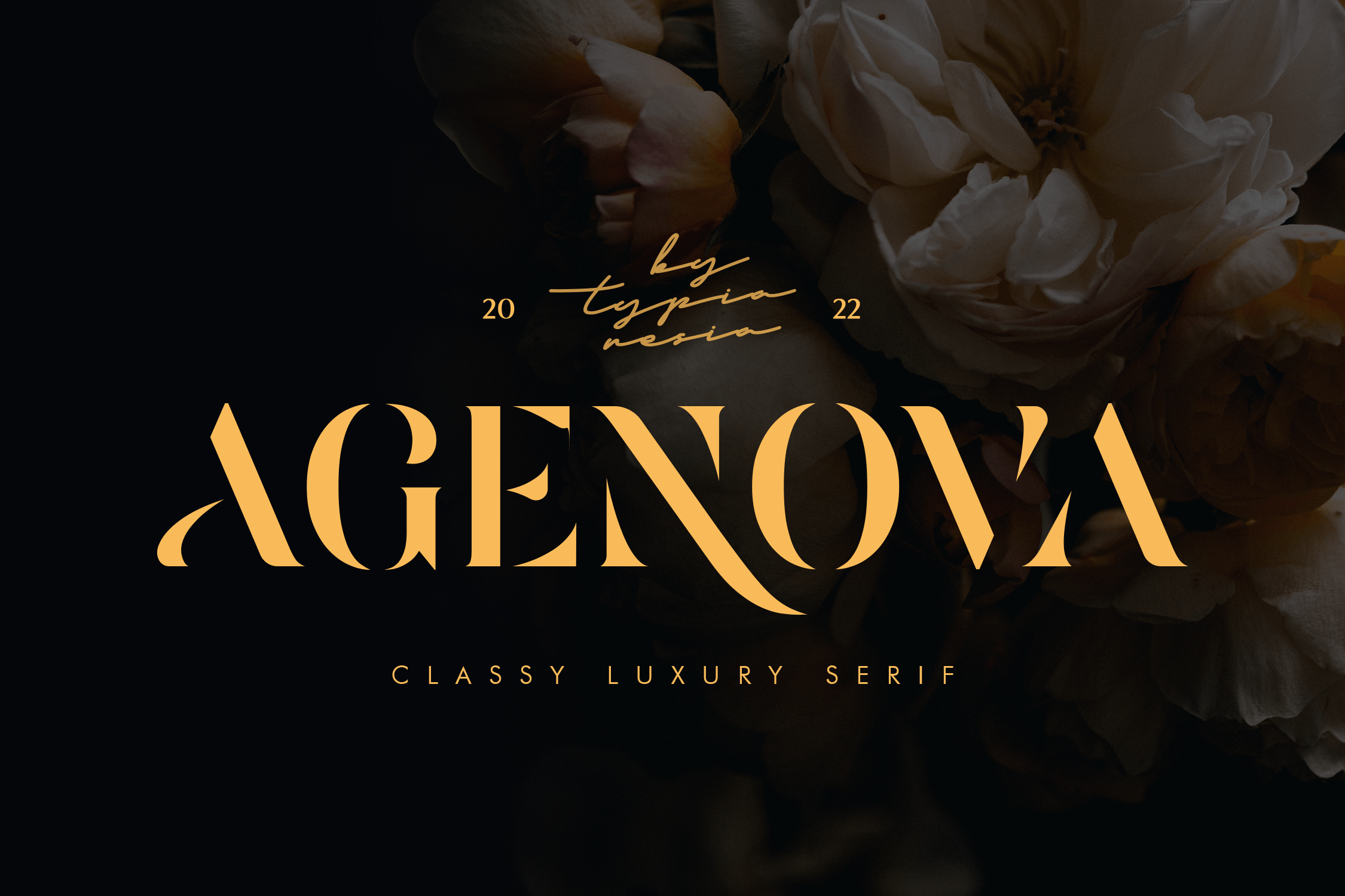 Agenova preview: elegant high-contrast serif