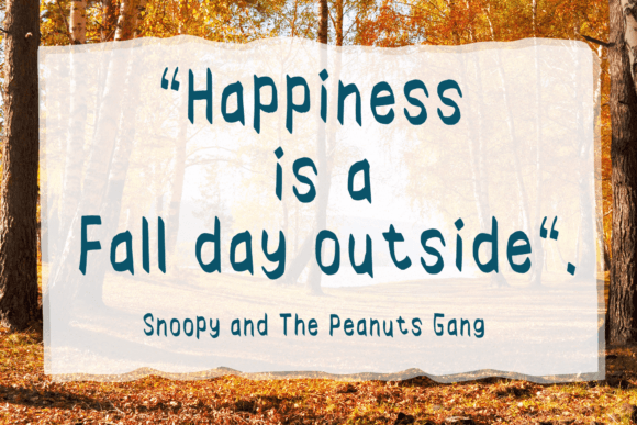 Autumn Shade Ii Font - Preview 1