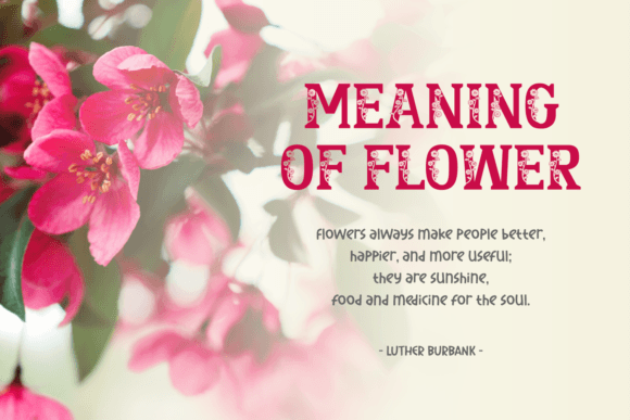 Gricis Font PNG with transparent background - Preview 2