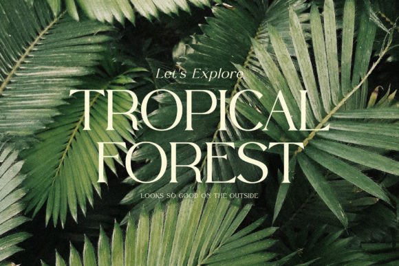 Quillen Font font preview - 4