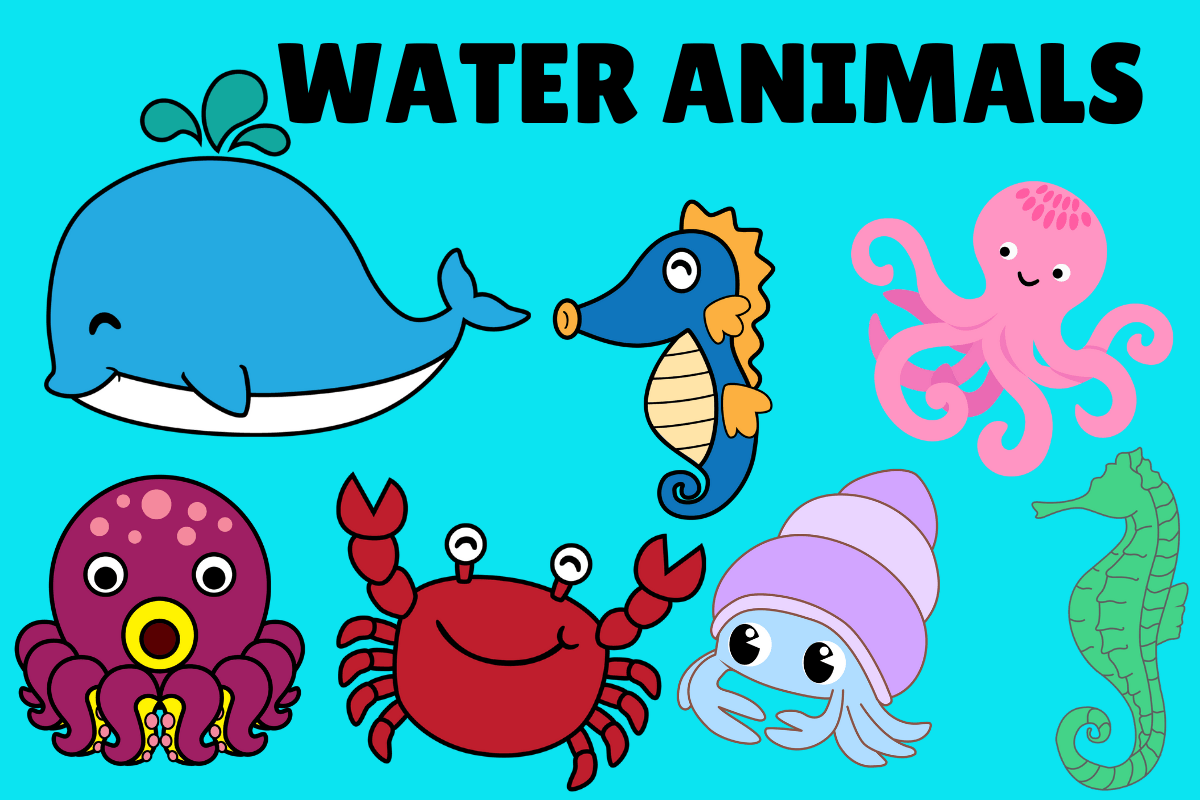 Water Animals PNG Clipart's Graphic by Tama Arts · Creative Fabrica
