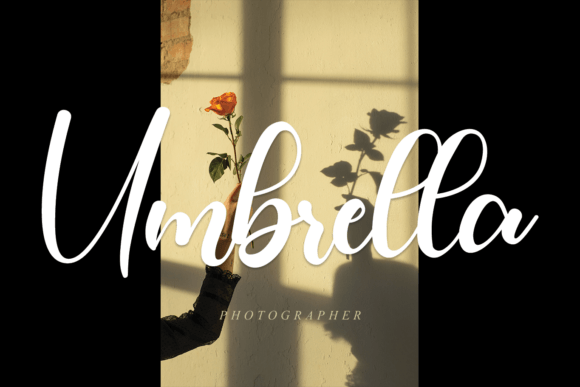 Anything Font - Preview 2