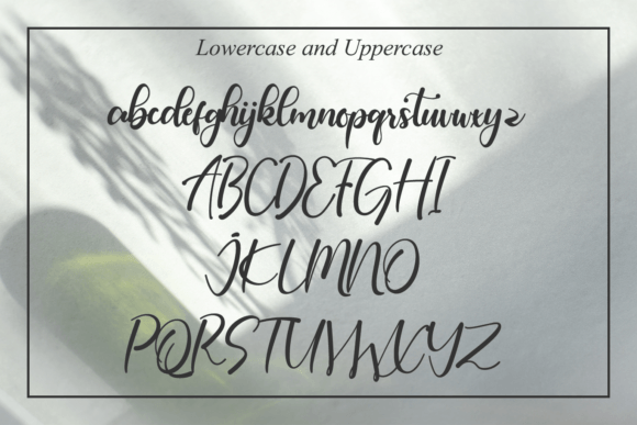 Anything Font - Preview 5