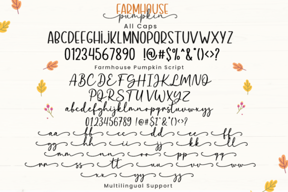 Farmhouse Pumpkin Font - Preview 2