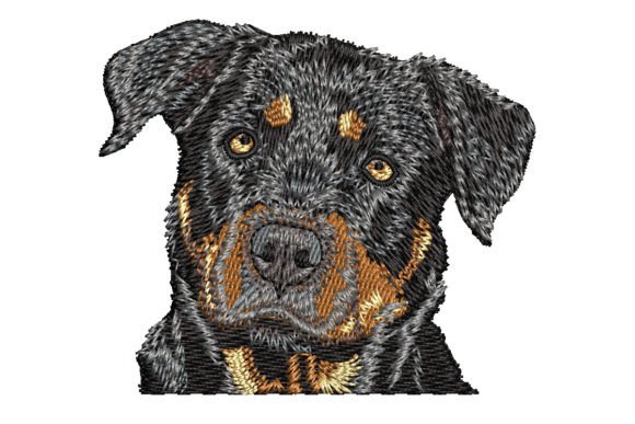 detailed rottweiler svg portrait design for cricut htv shirts dark blanks
