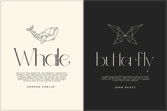 Brandy Font - Preview 5