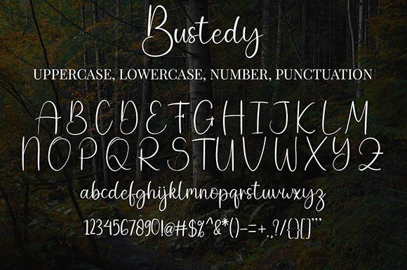 Bustedy Font - Preview 6