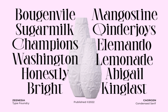 Caorgen Font - Preview 6