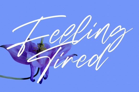 Ellisa Snowly Font PNG with transparent background - Preview 6