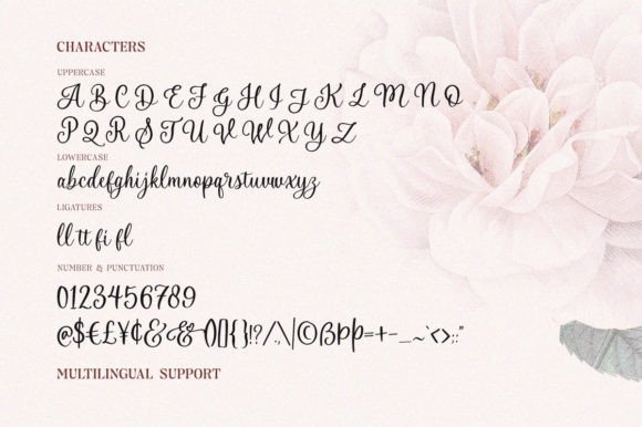 Emely and Peter Font PNG with transparent background - Preview 6