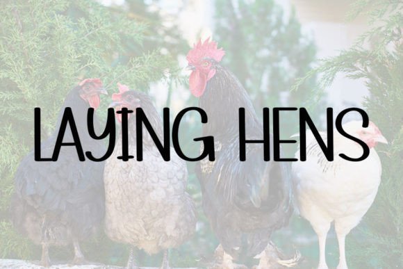 Farmhouse Font - Preview 1