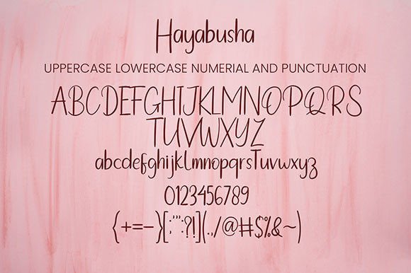 Hayabusha Font - Preview 6
